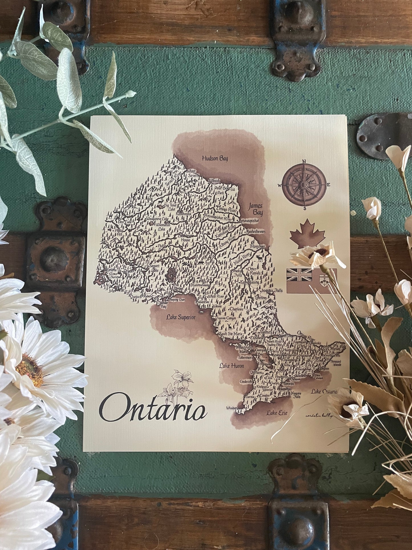 Ontario Vintage Map