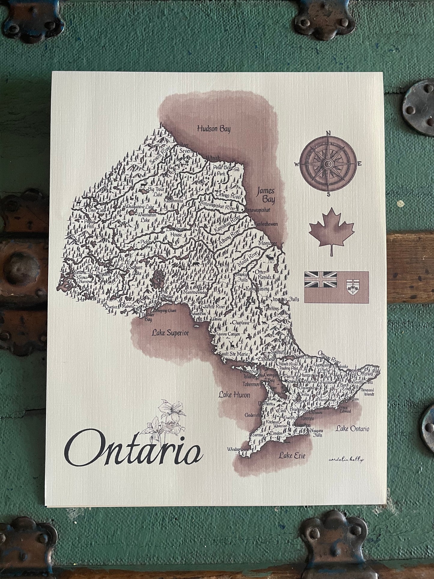 Ontario Vintage Map