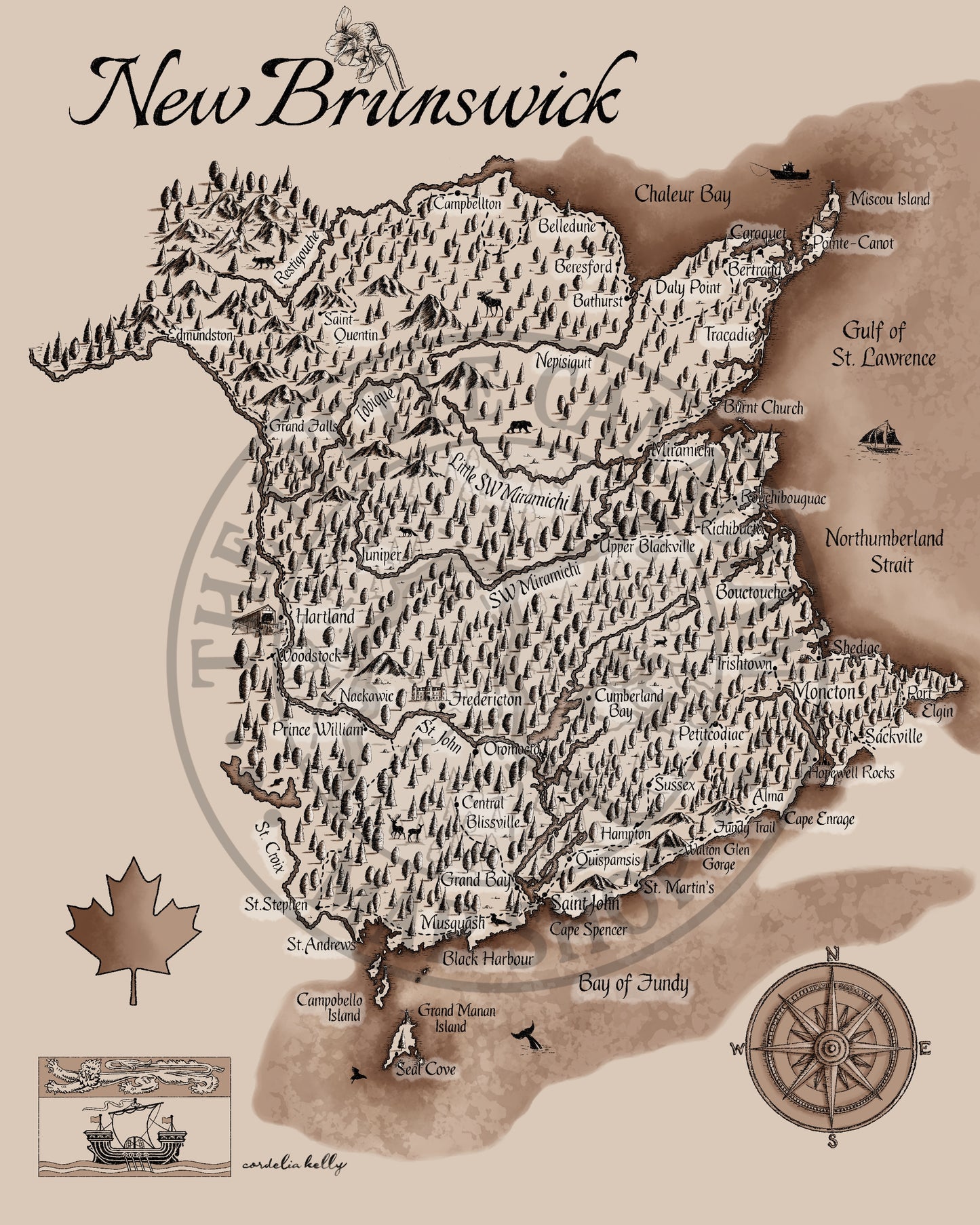New Brunswick Vintage Map