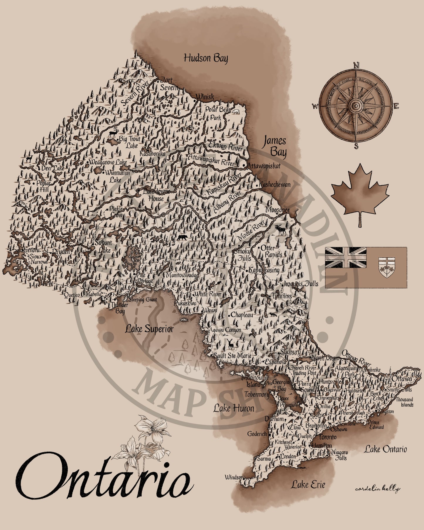 Ontario Vintage Map